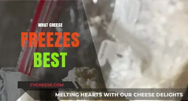 Best Cheeses to Freeze: A Quick Guide