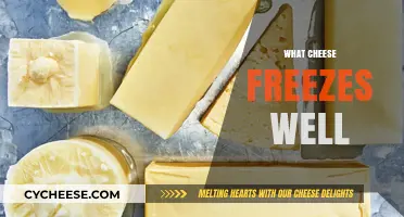 Best Cheeses for Freezing: A Guide to Preserving Dairy Delights
