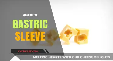 Cheese After Gastric Sleeve: What You Need to Know