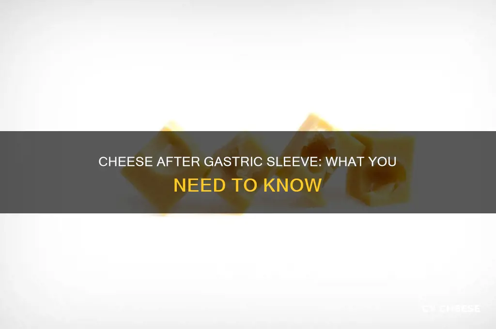 what cheese gastric sleeve