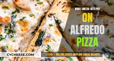 Cheese Choice: Alfredo Pizza's Perfect Topping