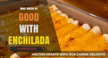 Perfect Cheese Pairings for Enchiladas: Elevate Your Mexican Dish
