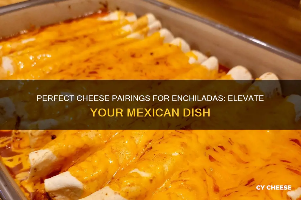 what cheese go good with enchilada