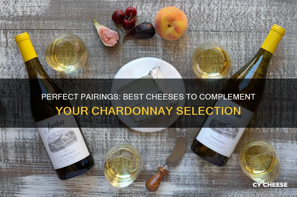what cheese go with chardonnay