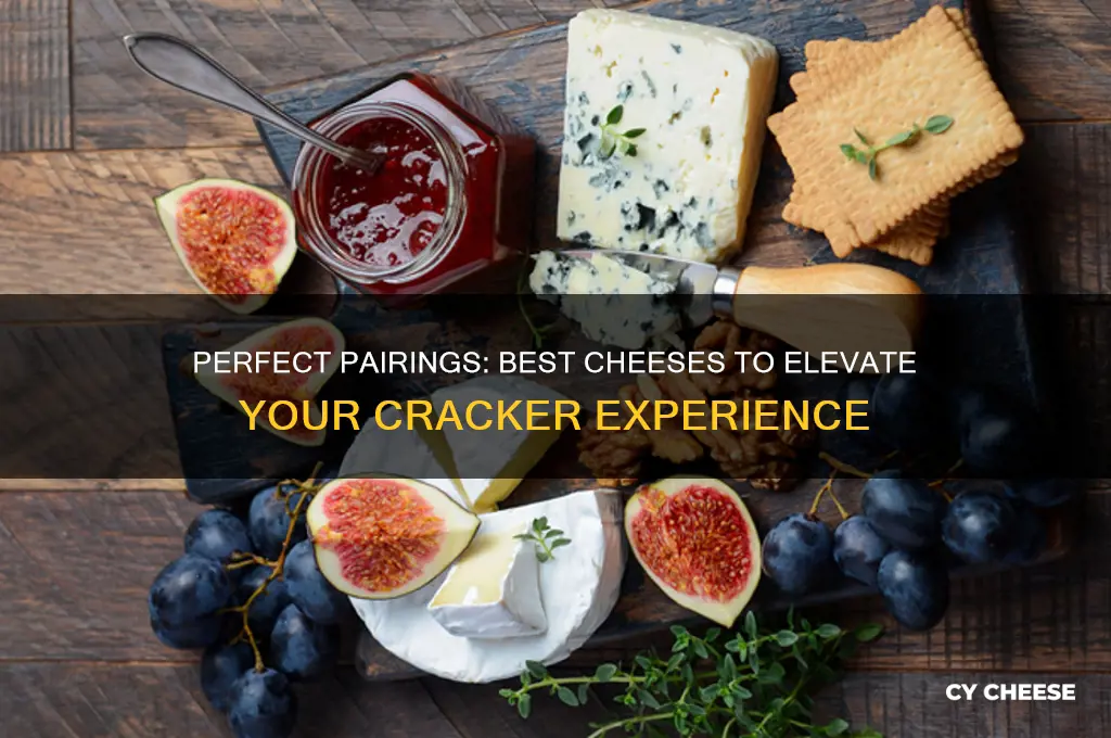 what cheese go with crackers