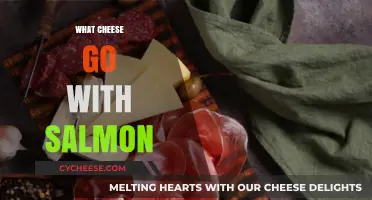 Perfect Pairings: Best Cheeses to Complement Your Salmon Dishes