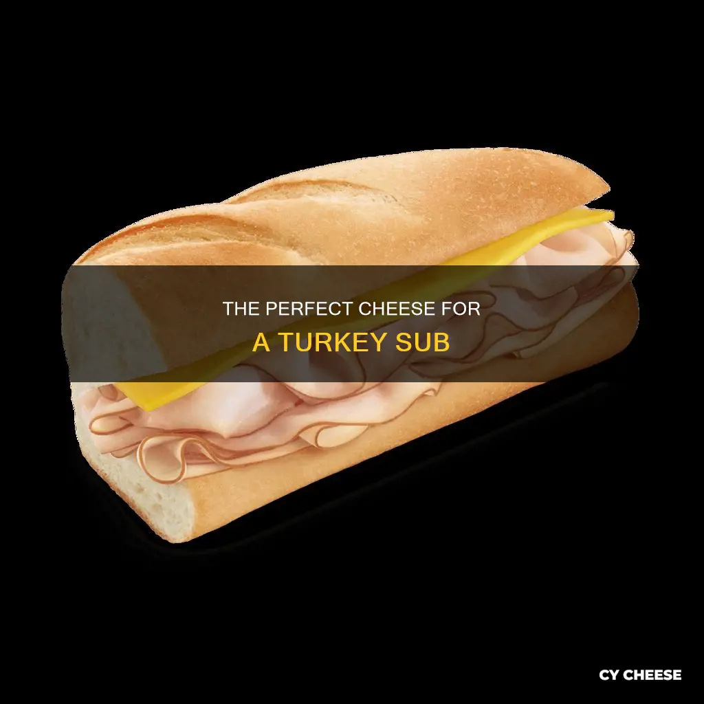 what cheese goes bes on a turkey sub