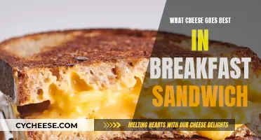 Breakfast Sandwiches: Best Cheeses to Start Your Day