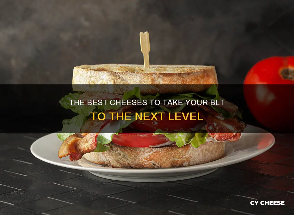 what cheese goes best on a blt