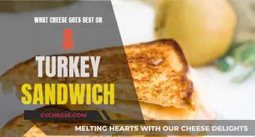 The Perfect Cheese for a Tasty Turkey Sandwich