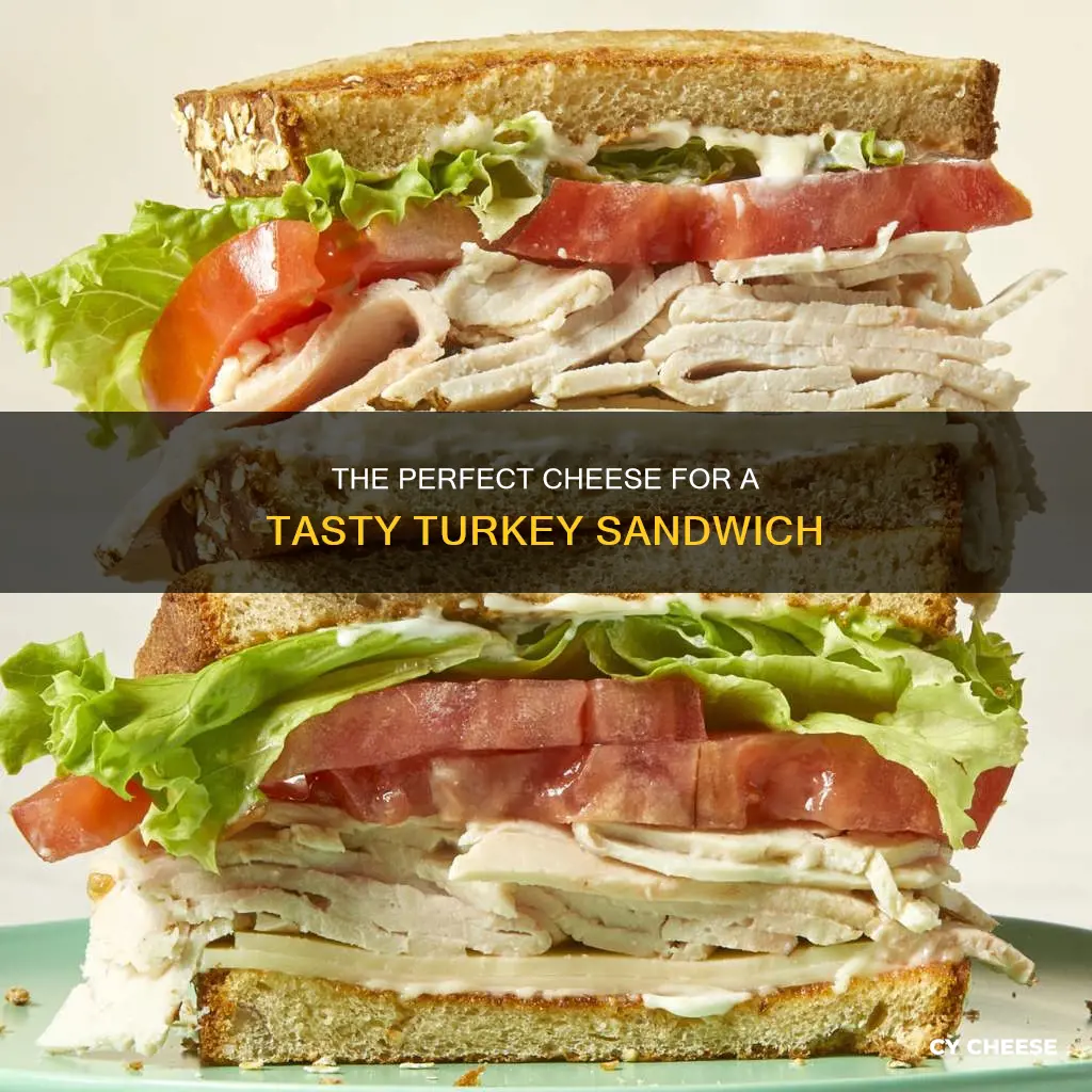 what cheese goes best on a turkey sandwich