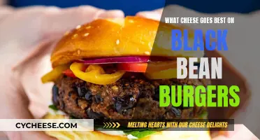 Black Bean Burger Bliss: Top Cheese Picks