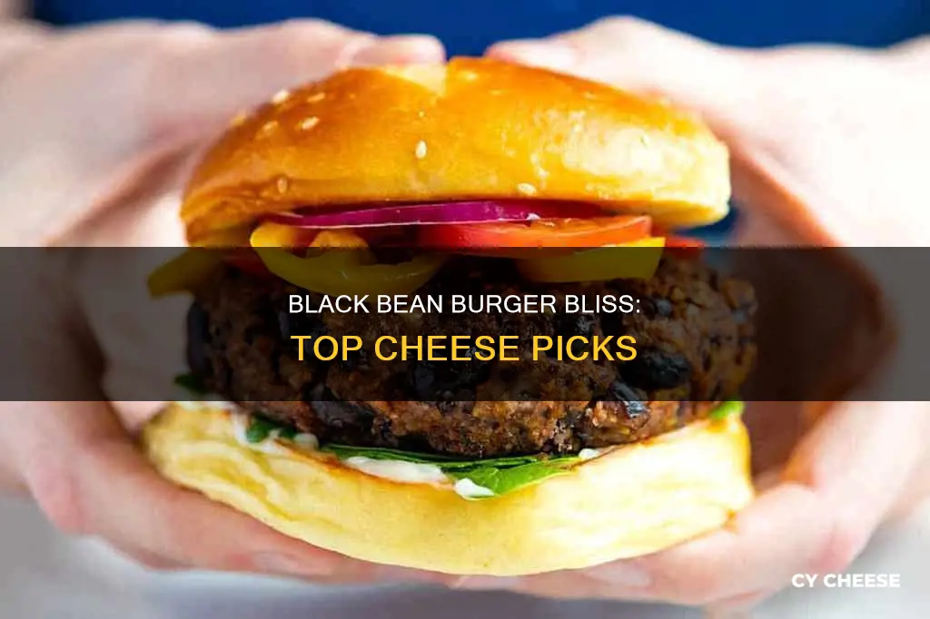 what cheese goes best on black bean burgers