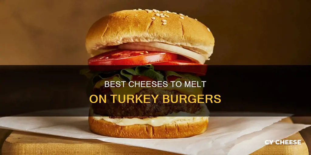 what cheese goes best on turkey burgers