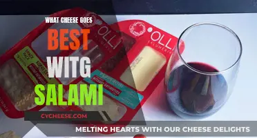 The Perfect Cheese Pairing for Salami Delights