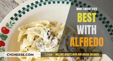 Cheese and Alfredo: The Perfect Melty Match