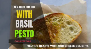 Best Cheeses to Pair with Basil Pesto