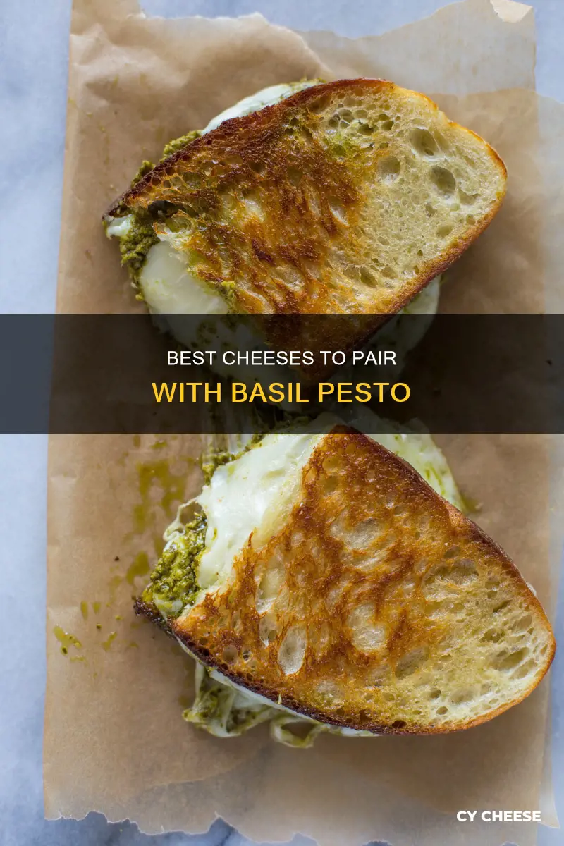 what cheese goes best with basil pesto