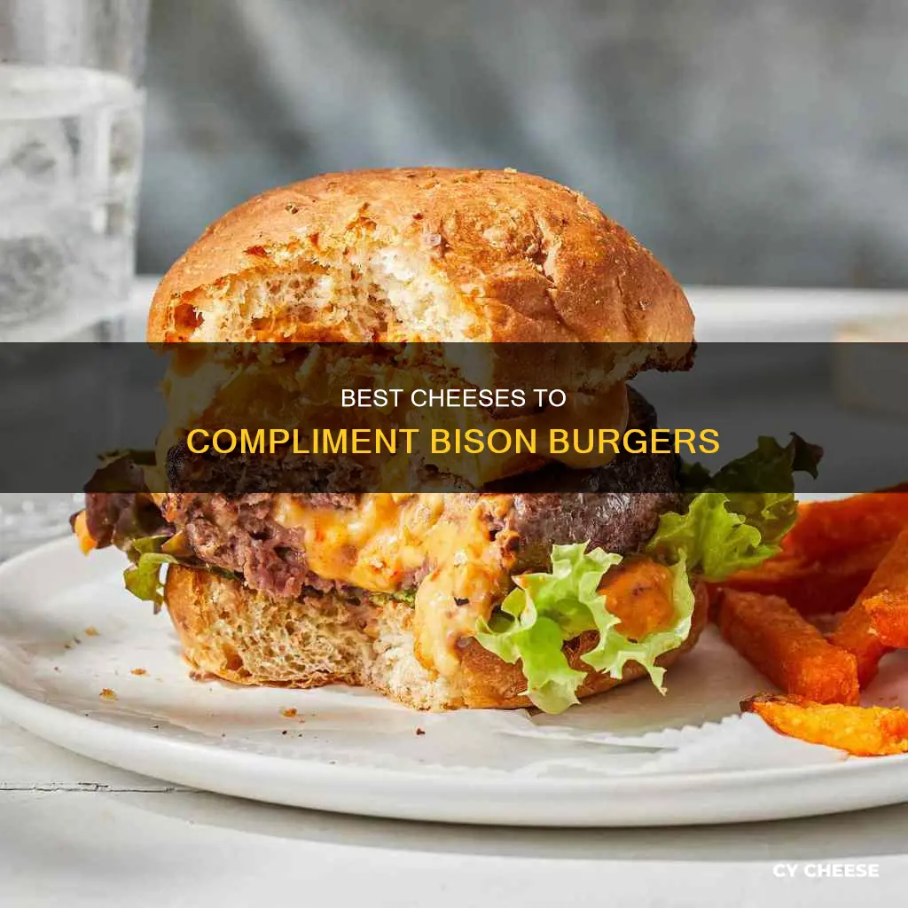 what cheese goes best with bison burgers