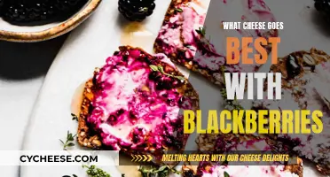 Blackberries and Cheese: Perfect Pairing for a Snack