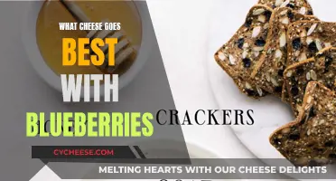 Blueberries and Cheese: Perfect Pairing Suggestions