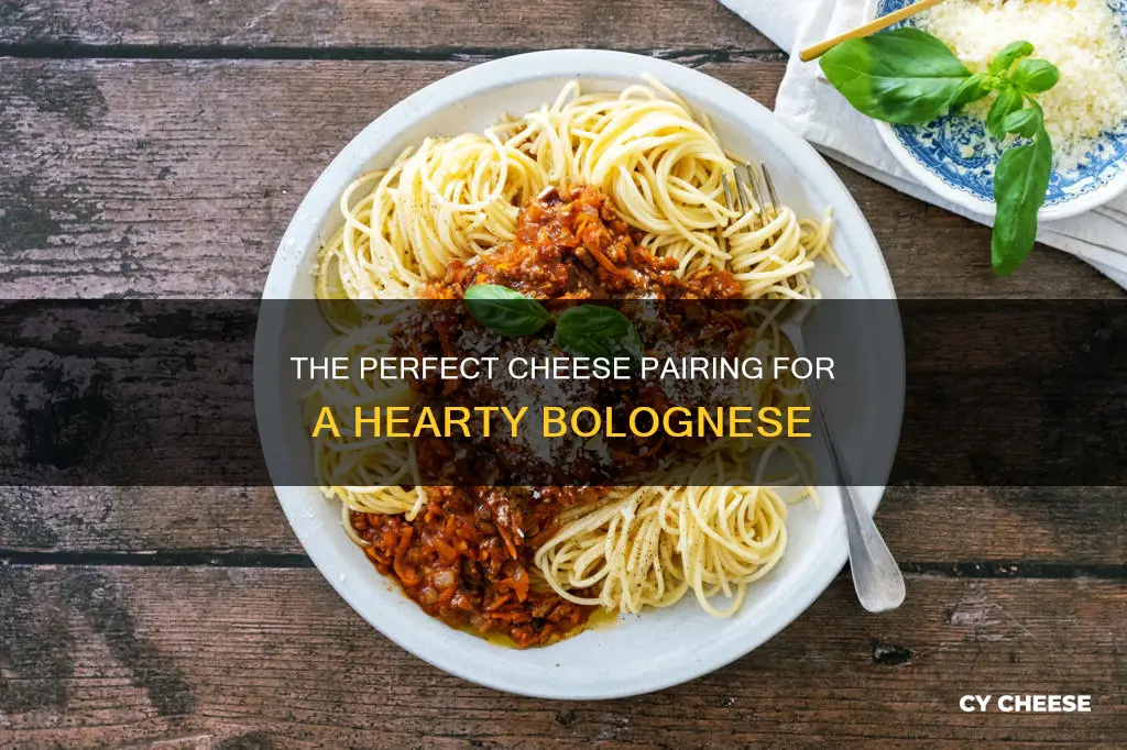 what cheese goes best with bolognese