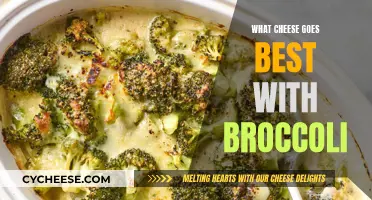 Best Cheeses to Pair with Broccoli: Delicious Combinations