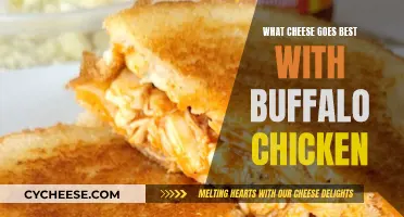 Best Cheeses to Pair with Buffalo Chicken