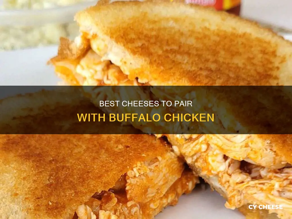 what cheese goes best with buffalo chicken