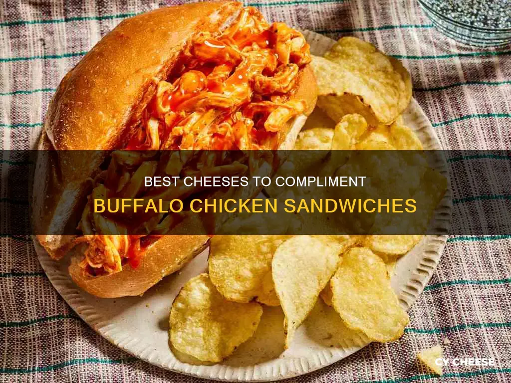 what cheese goes best with buffolo chicken sandwiches