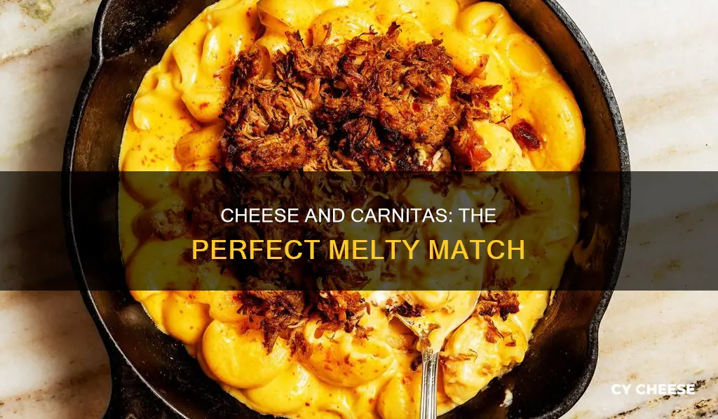 what cheese goes best with carnitas