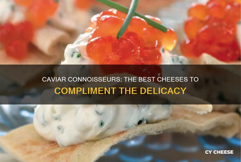 what cheese goes best with caviar