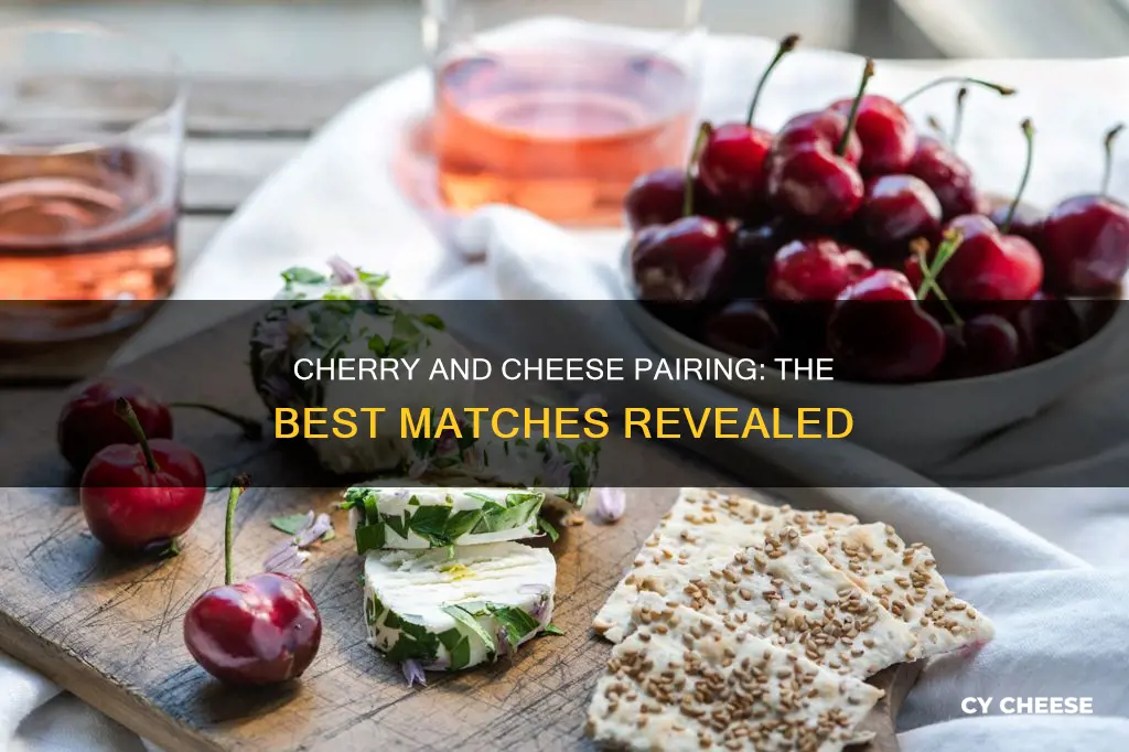 what cheese goes best with cherries