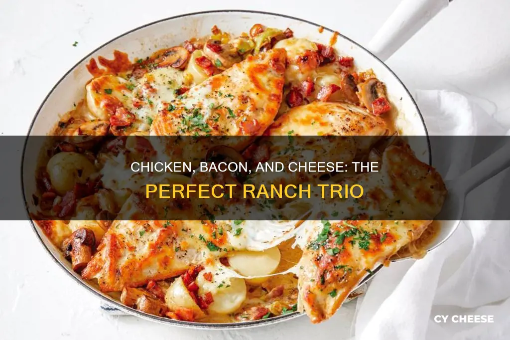 what cheese goes best with chicken bacon ranch