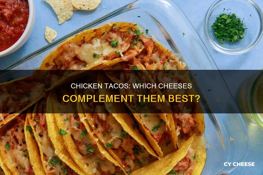 what cheese goes best with chicken tacos