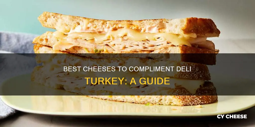 what cheese goes best with deli turkey