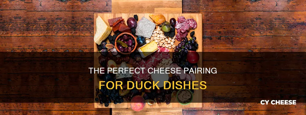 what cheese goes best with duck