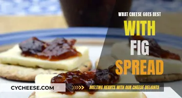 Cheese and Fig Spread: Perfect Pairing Ideas