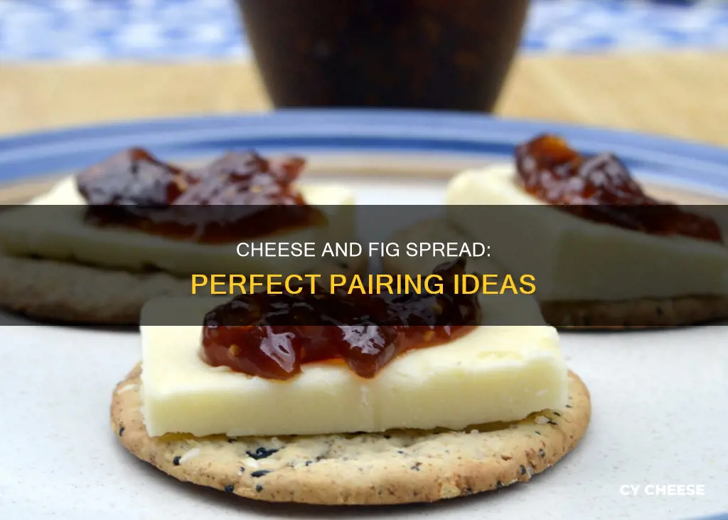 what cheese goes best with fig spread