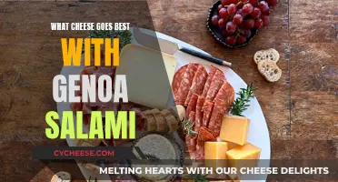 Best Cheeses to Pair with Genoa Salami