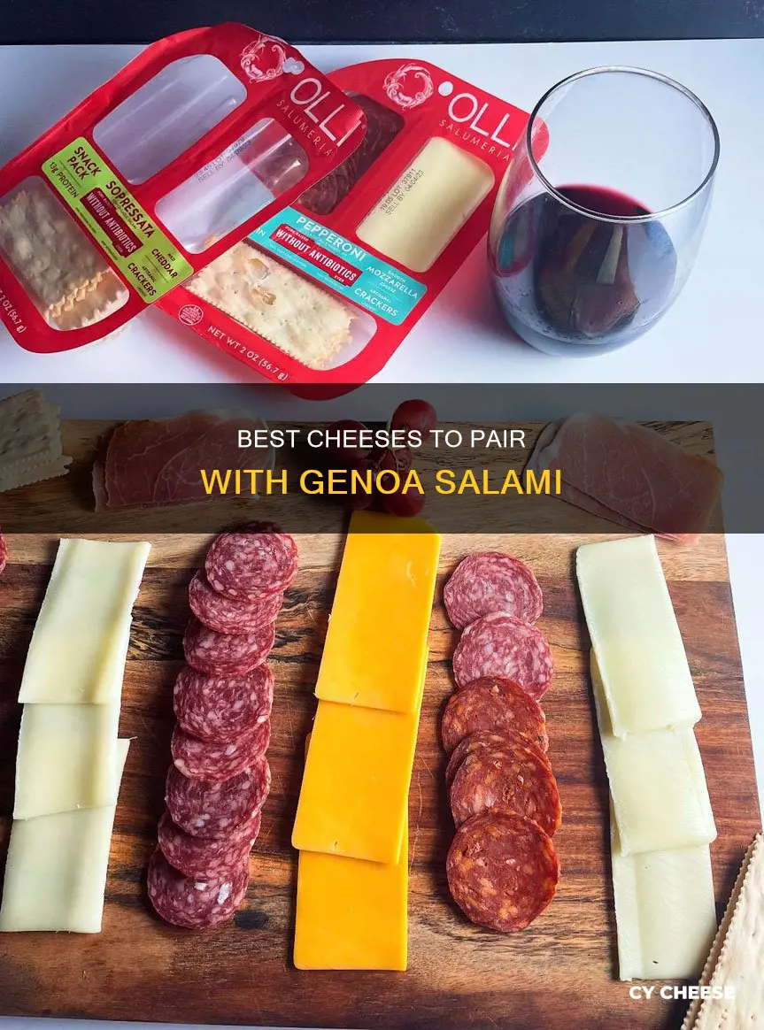 what cheese goes best with genoa salami