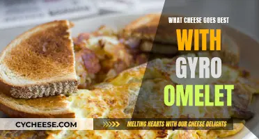 Cheese and Egg Delight: The Perfect Gyro Omelet