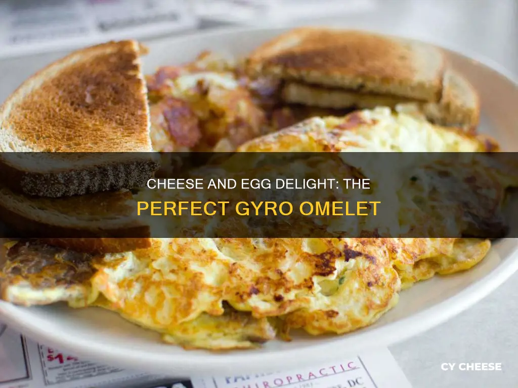 what cheese goes best with gyro omelet