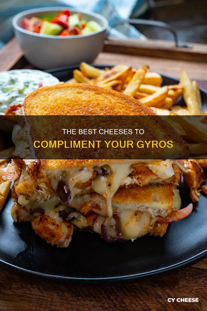 what cheese goes best with gyros