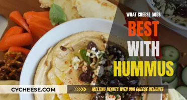 Cheese and Hummus: The Perfect Pairing