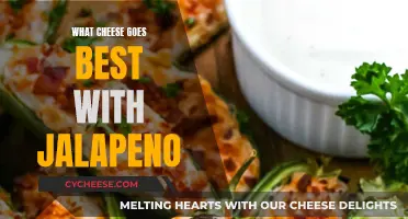 Cheese and Jalapeno: The Perfect Spicy Match