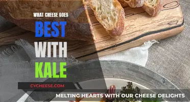 Kale and Cheese: The Perfect Pairing for Your Palate