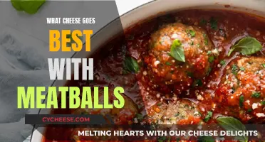 Meatball's Best Friend: Cheesy Delights for the Perfect Bite