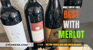 Merlot and Cheese: The Perfect Pairing for Cheese Lovers