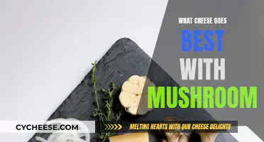 Mushroom and Cheese: The Perfect Pairing